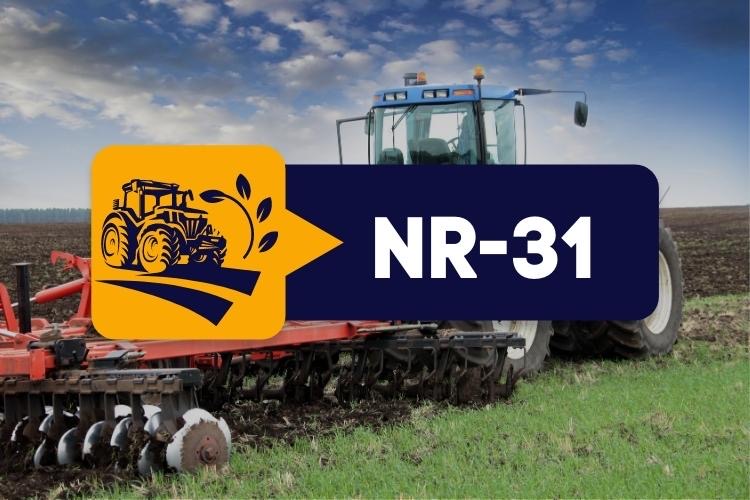Combo NR 31